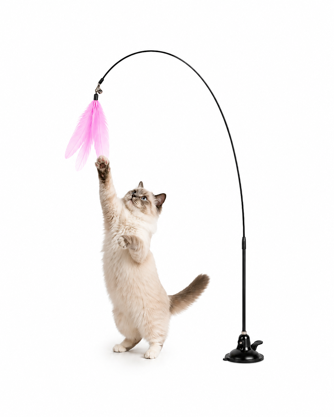 Caña interactiva para Gatos