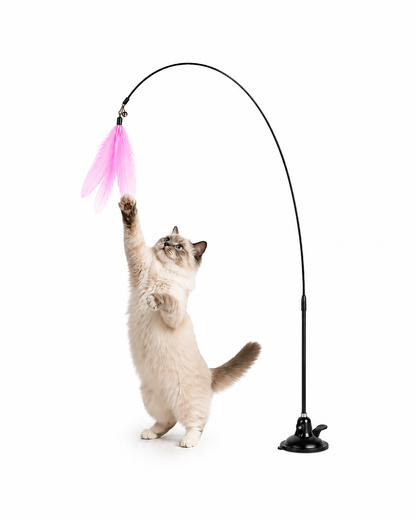 Caña interactiva para Gatos