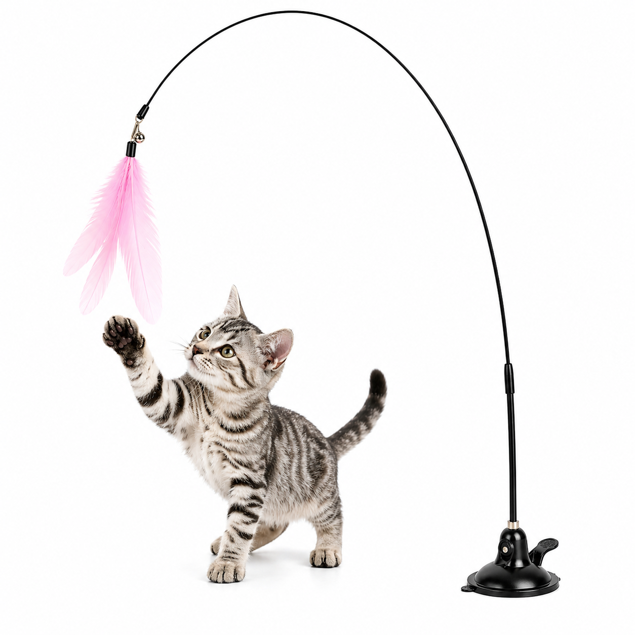 Caña interactiva para Gatos